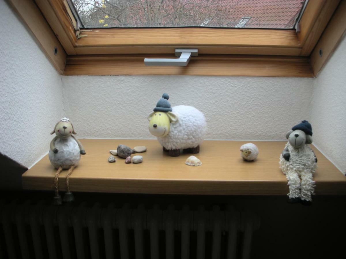 Apartment Seeadler Mit Balkon Dewichow Zewnętrze zdjęcie